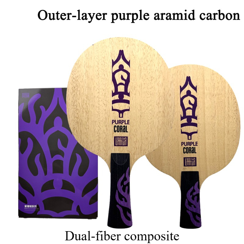 Table Tennis Paddle - Racchetta da Ping Pong Meteor Purple