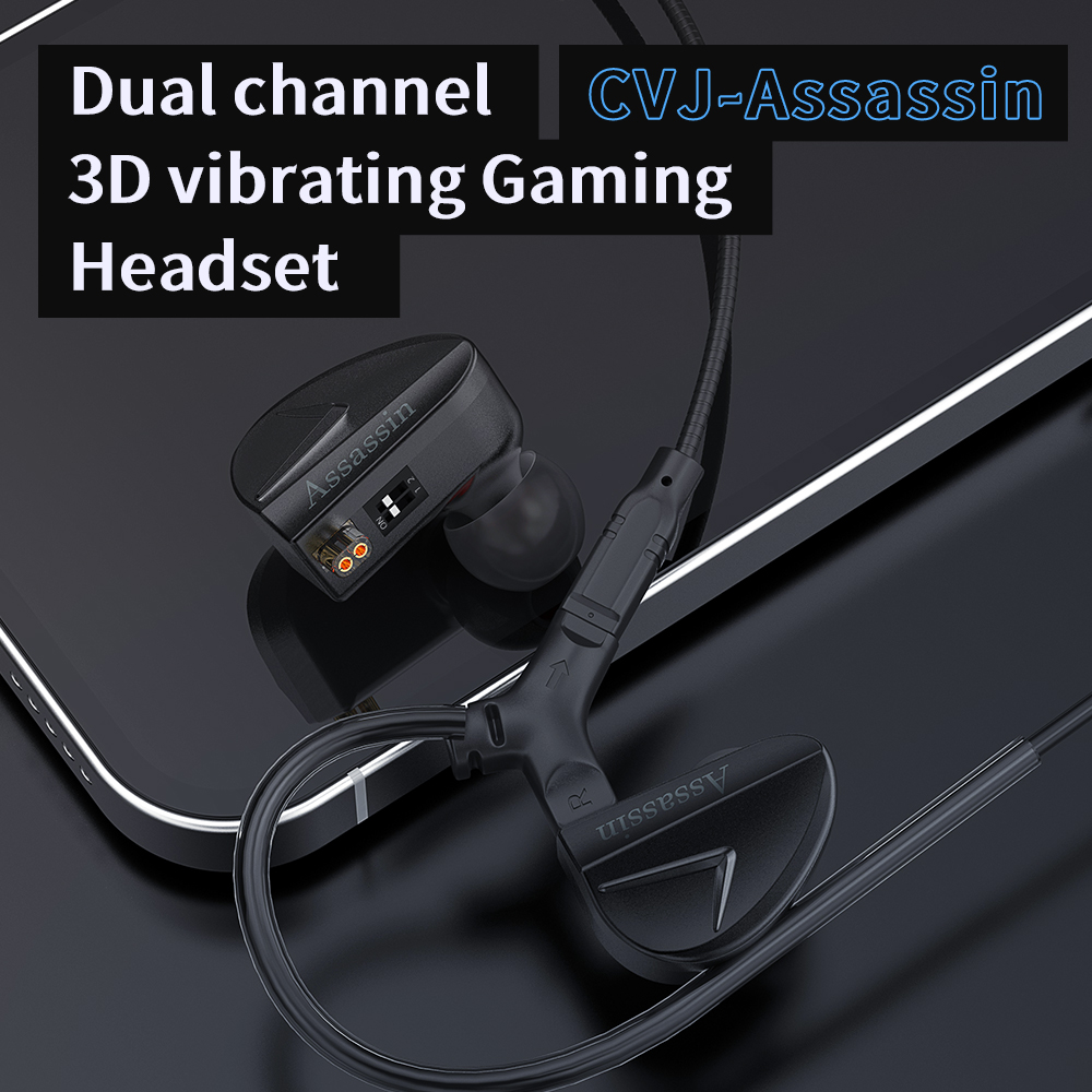 Auricolari In-Ear CVJ Assassin - Sports Equipment Video recensione e prezzo