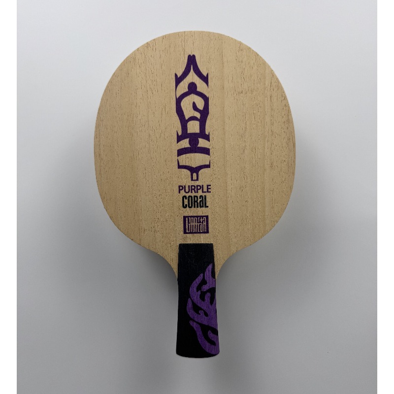 Racchetta da Ping Pong Meteor  - Table Tennis Paddle recensione e prezzo
